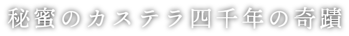 秘蜜のカステラ四千年の奇蹟